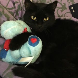 Meet your Posher, Genesis